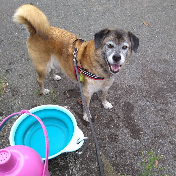 Fdb1099c fbdd 4871 bc10 680684056d7c 1568249203539