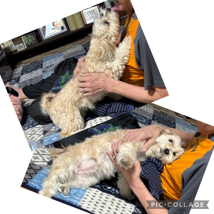 Fdb11e16 99e1 4b23 9dd8 6b4060656e7e 1773055772795