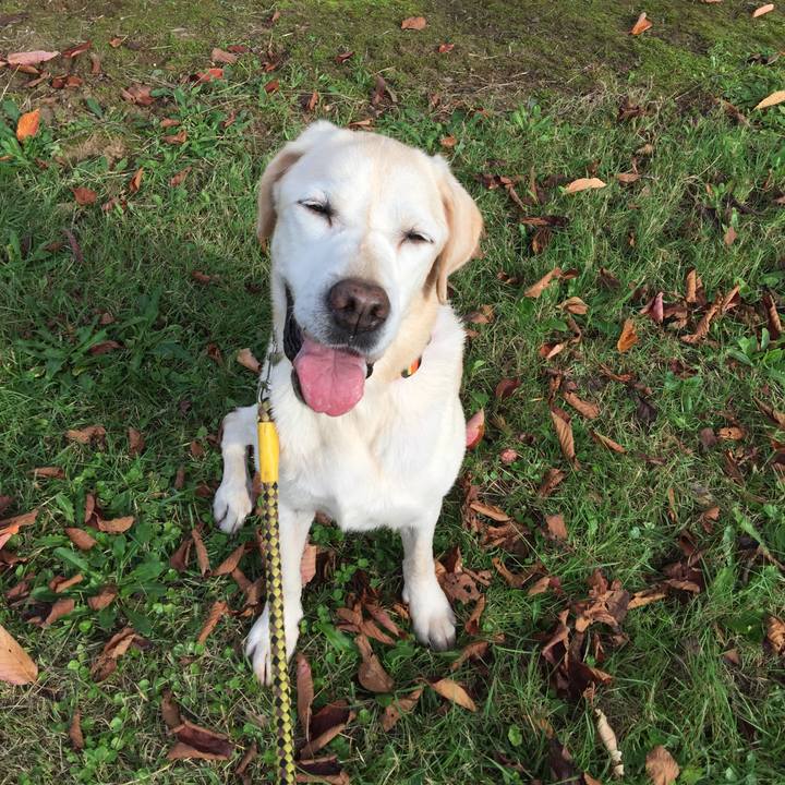 Fdb128bf ebd1 4085 9623 c06be78820d8 1539672367559