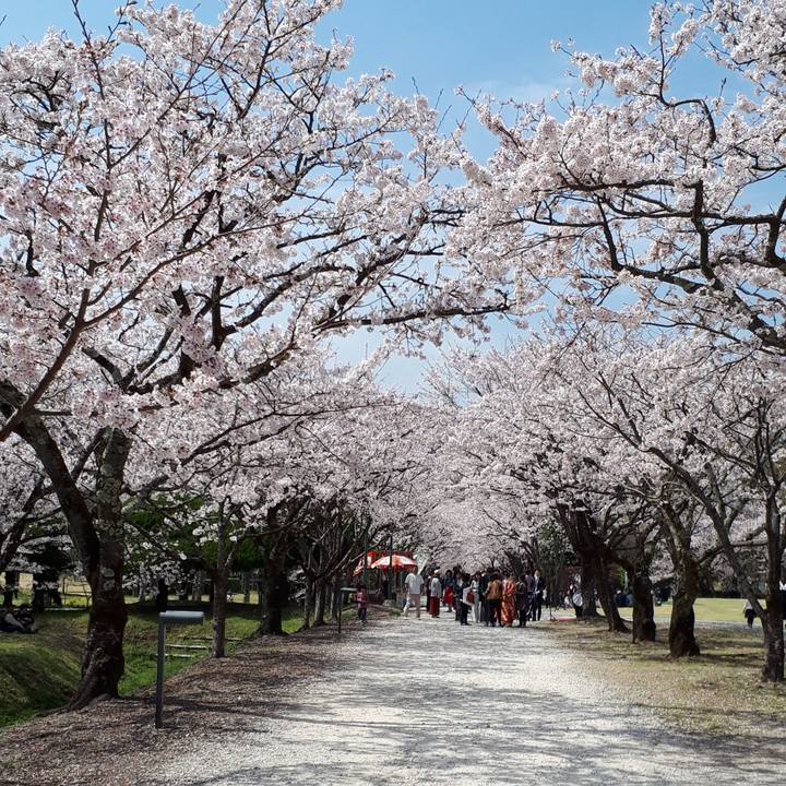 Fdb181d6 d5b1 472d a2e6 e3143d82b82b 1522122435306