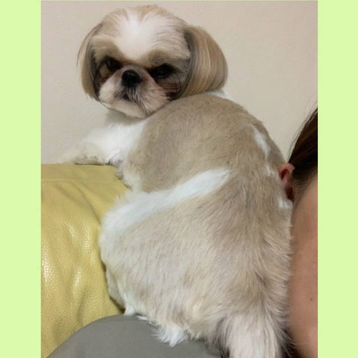 Fdb1b854 1834 4cb6 8ddc f36791f94ba9 1600087660446