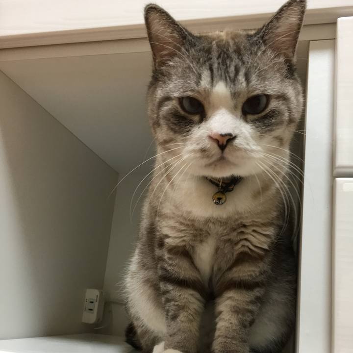 Fdb1c6f9 1b1f 4d2d 8b28 5d895bfdb6c3 1510392864589