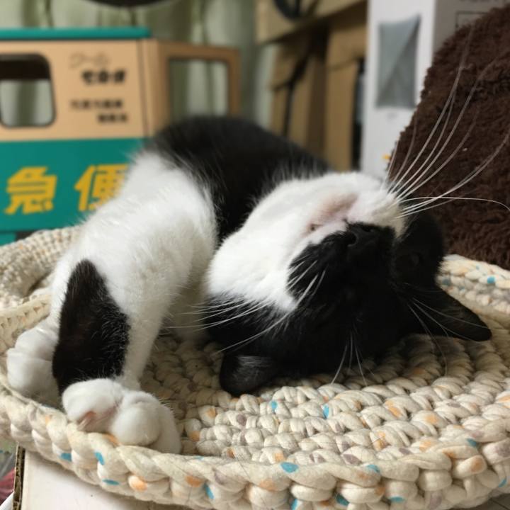 Fdb1d731 b56f 4c12 bd54 f5449bc8a750 1587215137723