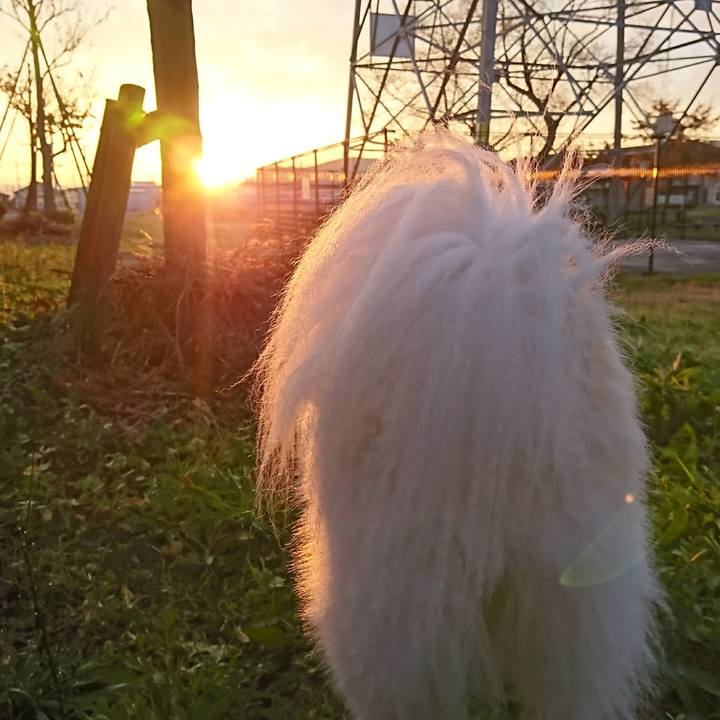 Fdb1e49e c430 42b1 b73c 7d86ff0616a8 1510003573007