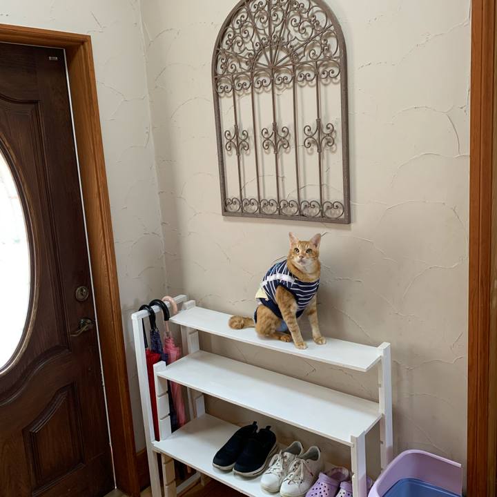 Fdb20475 4969 4116 b76d b666d1020182 1634438058649