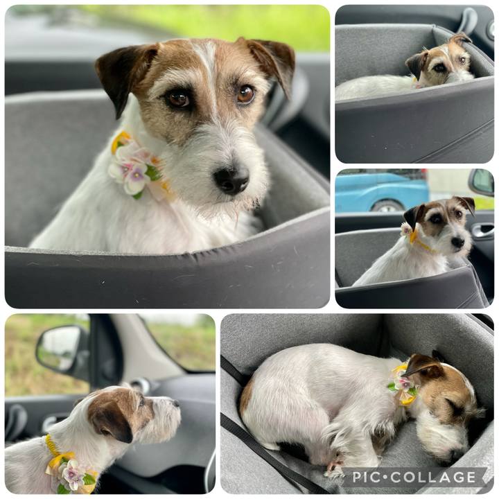 Fdb20627 a49a 42ea a6c3 f775a7559136 1623662910523