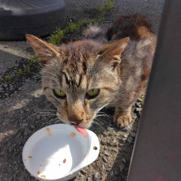 Fdb21783 f166 45a2 a464 0ff1b0882a9d 1687577257712