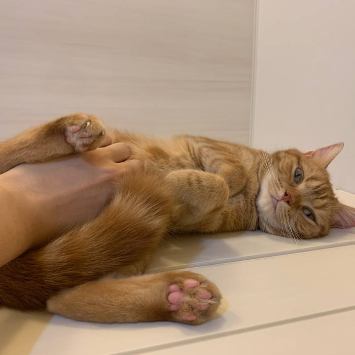 Fdb252f7 473f 4817 b102 61d90129ffe0 1629283573956