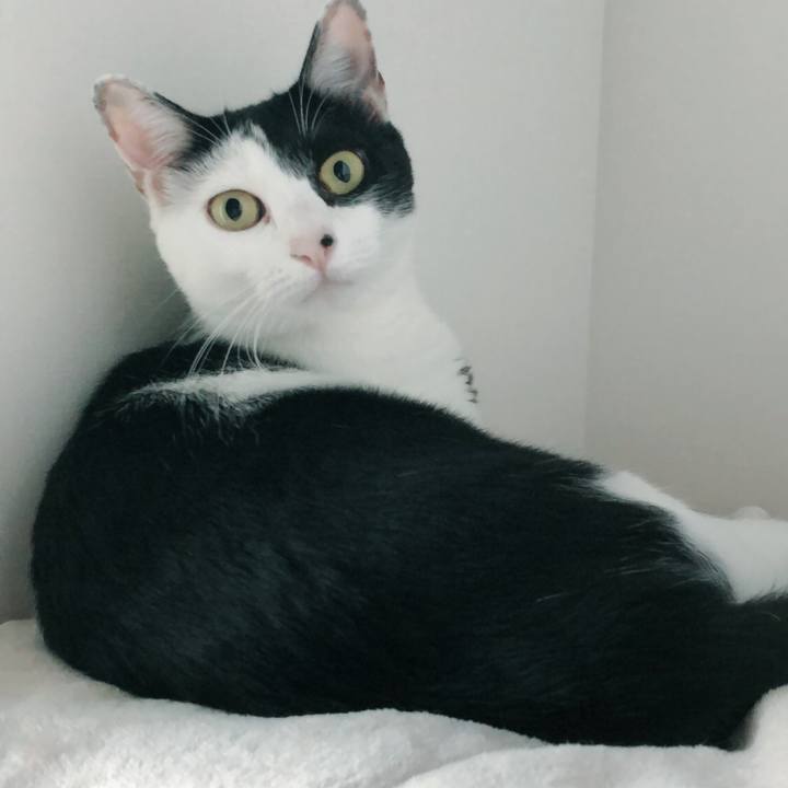 Fdb262ae 3d6b 4256 adf9 441eac5d0def 1538384861049