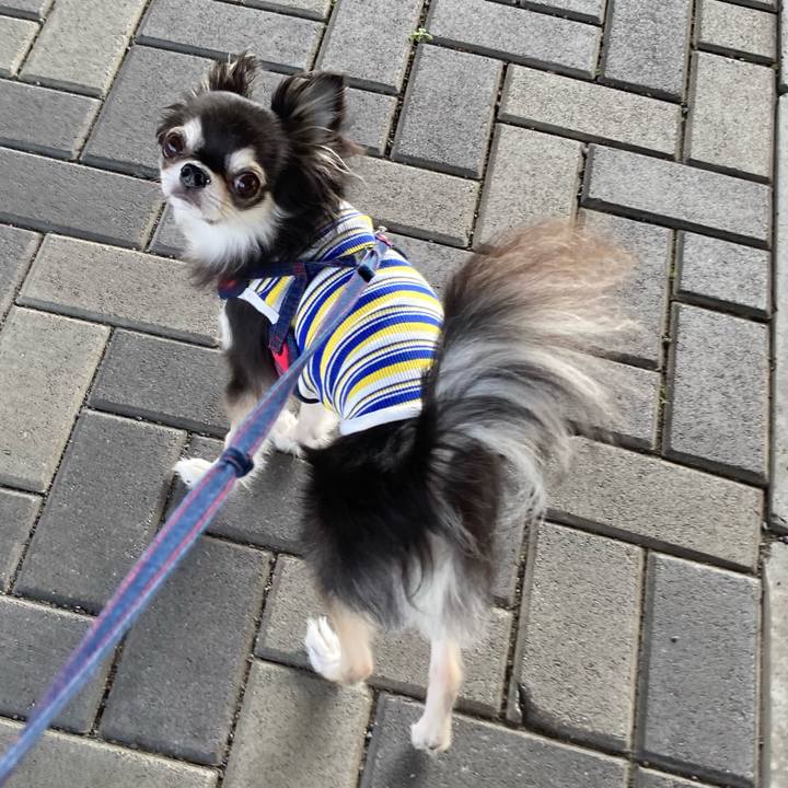 Fdb26524 ebf5 4a46 a9f3 38c41cdb5f4e 1713096337962