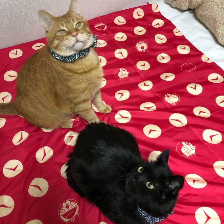 Fdb27284 e16c 408c 83eb 0aeeac12dfca 1614770330379