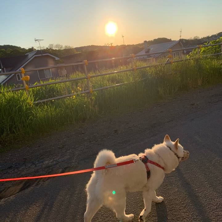 Fdb275bb b6cd 4668 ae5b c864fcf7005c 1590871932561