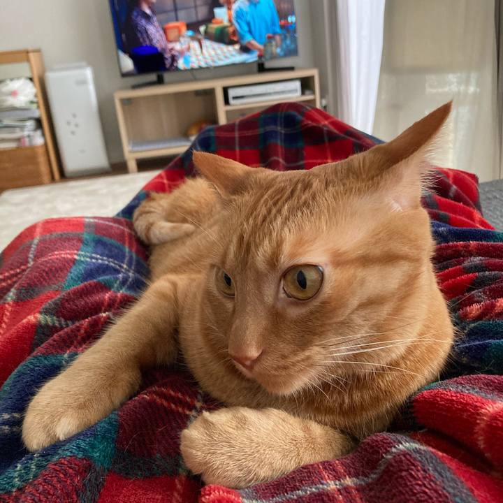 Fdb28269 6467 4e9d 9c6a 27678df6bac3 1620455927182