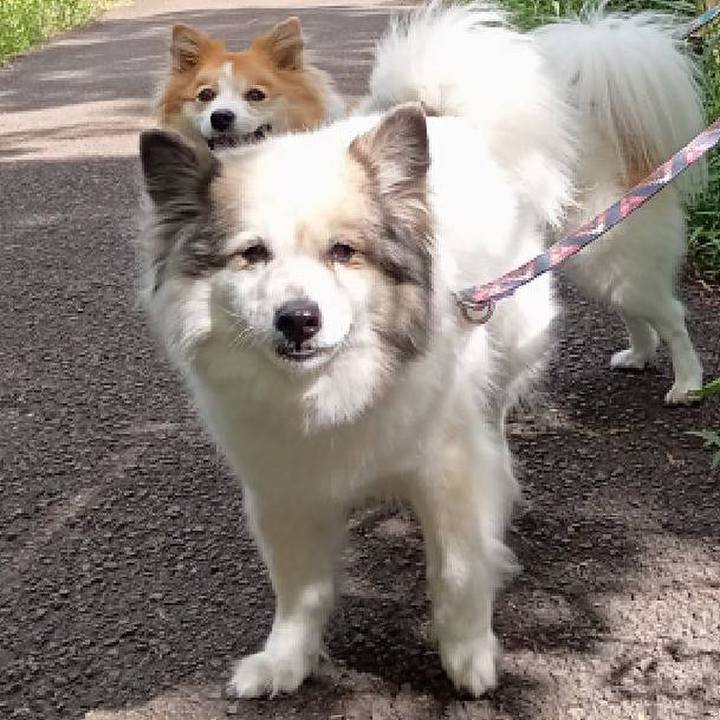 Fdb292b9 ae44 43f1 9c52 2972b02e421f 1657797560089