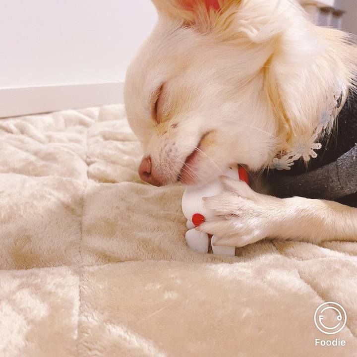 Fdb32042 cc02 4eac b789 4df1062e2666 1606566911810