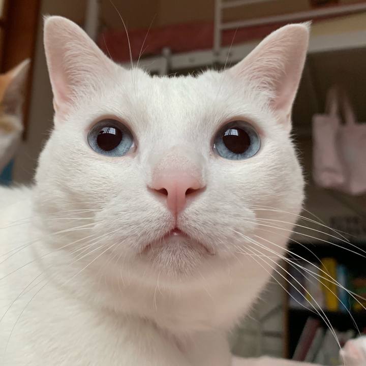 Fdb3276a c9bb 4534 a6de e9ccac02faf7 1560548373703