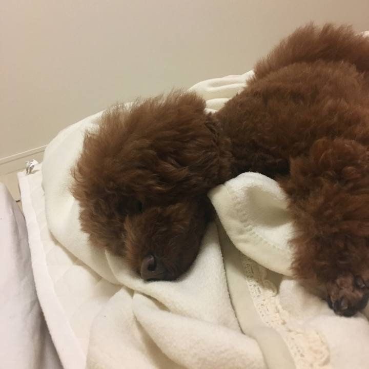 Fdb32ef1 b5f3 494a 9f8a 4dd6e9740b27 1526386068391