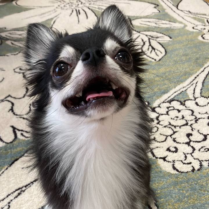 Fdb3333a 753e 4547 80fe 7d361460ff21 1629552734802