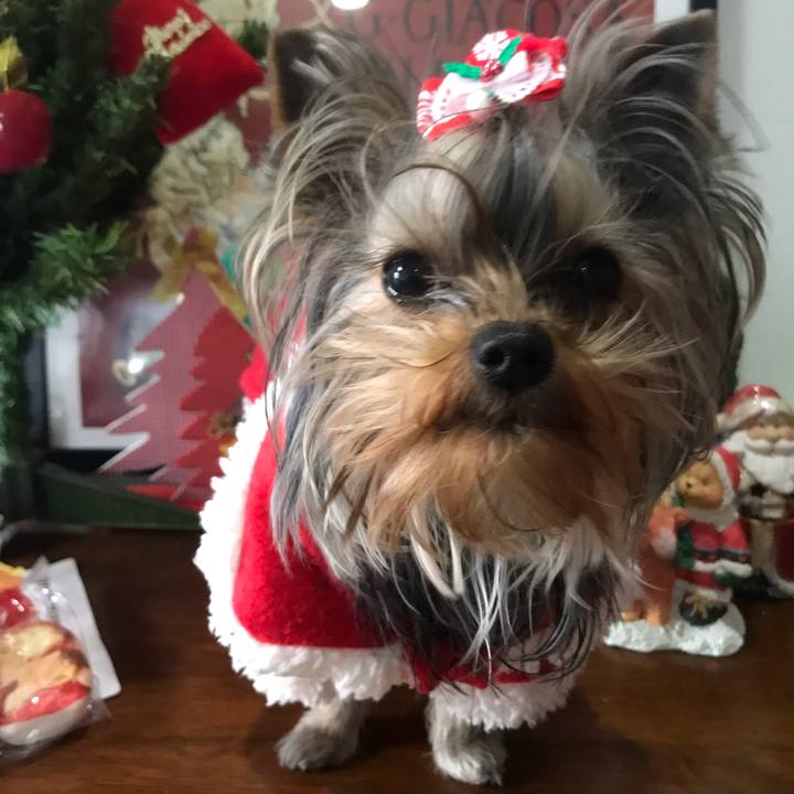 Fdb34469 94e8 423a b93b 2838ddd4b6c0 1640410501968