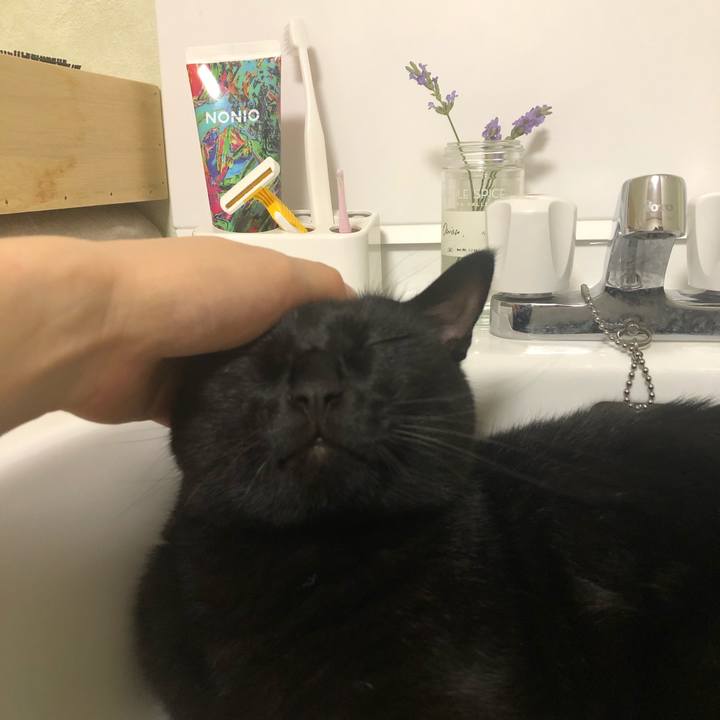 Fdb36b3f 9d77 46ba a6ae 1a5fc7770b75 1594391348031