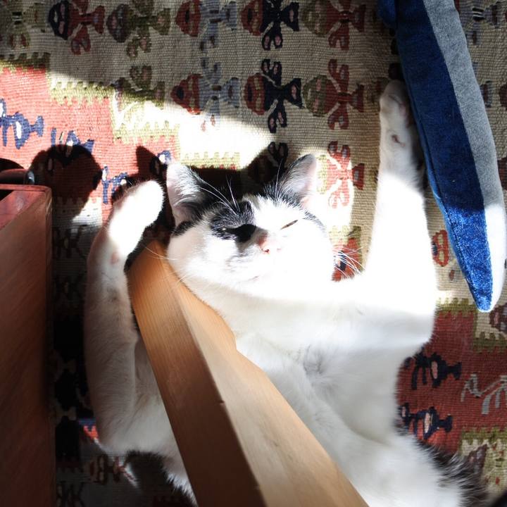 Fdb38287 c17e 4a0b 8e6c 34738ba2db11 1524894300312