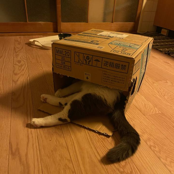 Fdb39db9 15e1 489f 928d 4744acbbe559 1731662831320