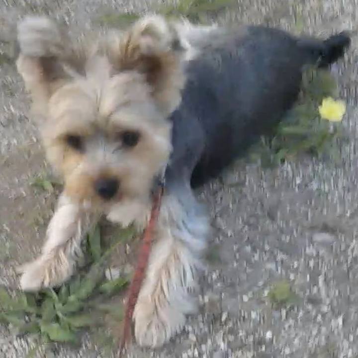 Fdb3c9d2 1a36 4baf 920f cbf0411548f6 1561165328250