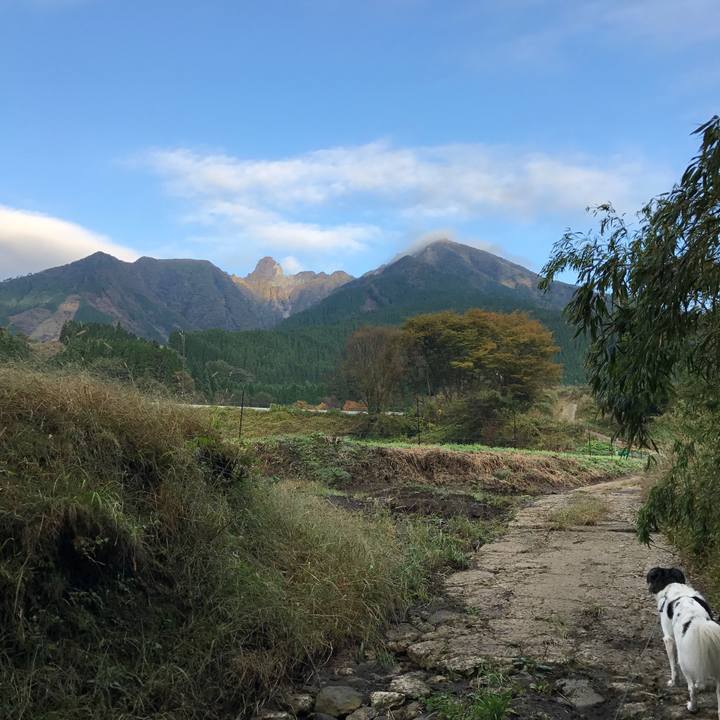 Fdb3fdc5 3d9d 43b6 bd5a d3e9409ff337 1509066343144