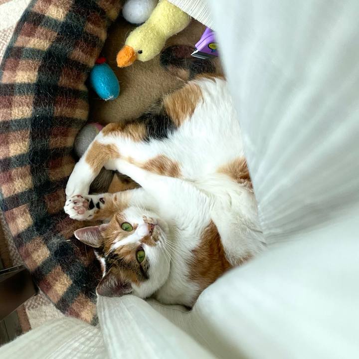 Fdb45297 0760 4a62 8ccb e854f6d0bd9a 1697858006839