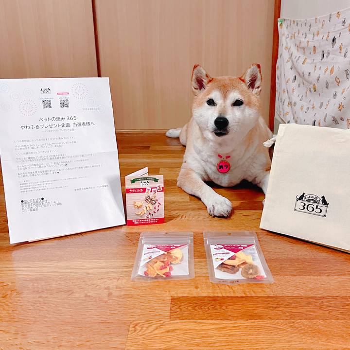 Fdb4aff2 3d4d 4a03 90c8 098a0672b1a4 1723353434874