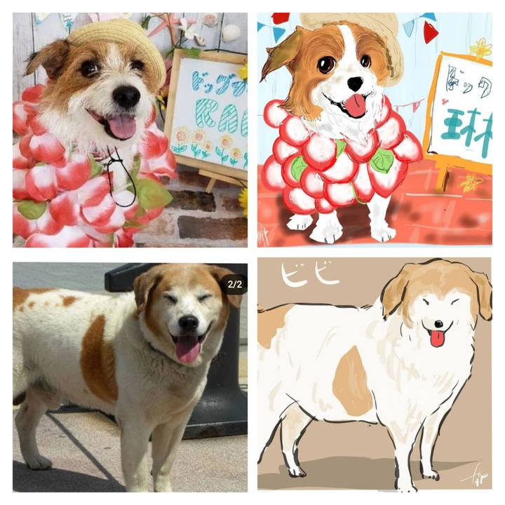 Fdb4d451 c565 4e7a 946c b8099b410584 1673165545694