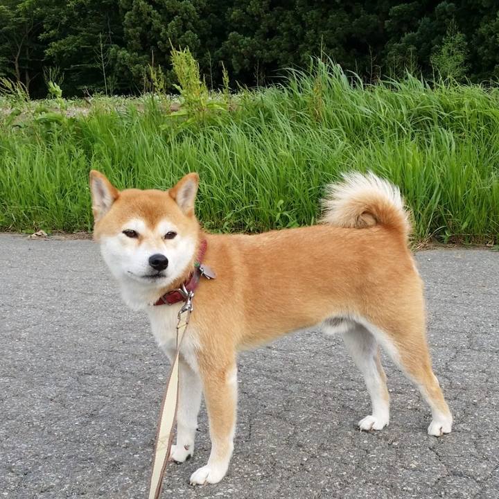 Fdb4da7a ebaa 4512 b398 dbe8808b7063 1710933704275