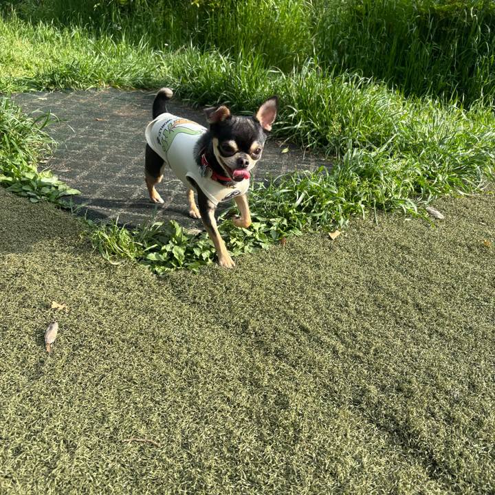 Fdb4e95e cab9 4538 82fa 6c075bf65d37 1746435699204