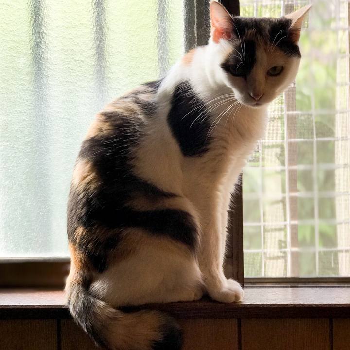 Fdb51da4 1c34 4ee1 b5b0 4be9e65a6816 1535244157343