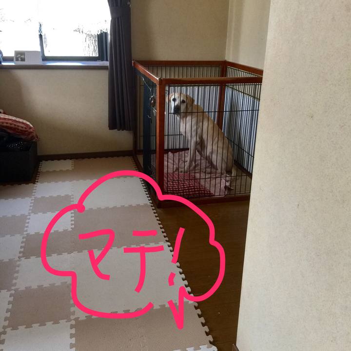 Fdb52924 c0ad 4042 9e69 4e163c70db99 1590454924739