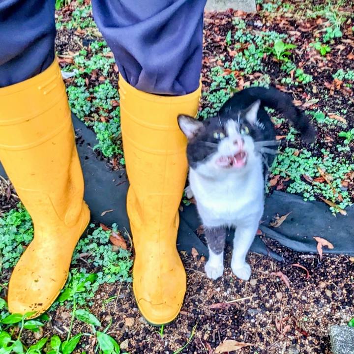 Fdb52af1 d32f 4728 aaf1 d01f1b19cbdd 1757671071185