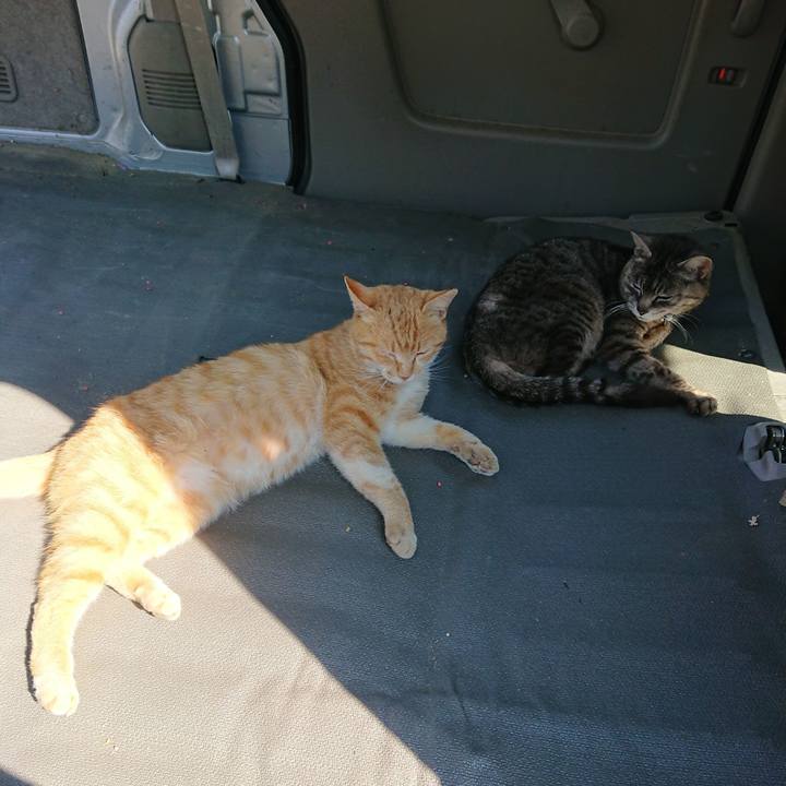 Fdb59ba2 150d 4de5 b3be a25b47877cc7 1557647948519