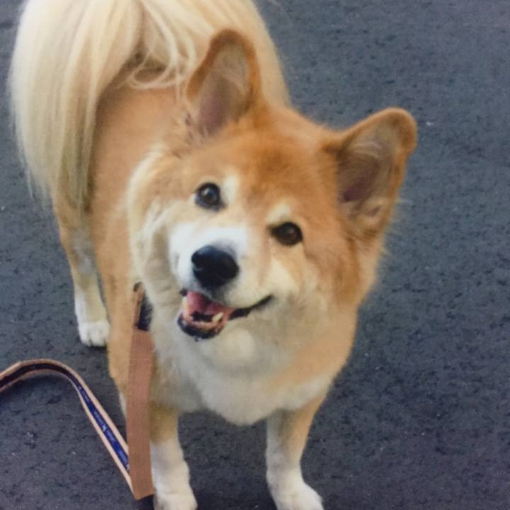 Fdb5b26e 6d86 4e96 8bc2 20d2a05ad4bc 1614950210132