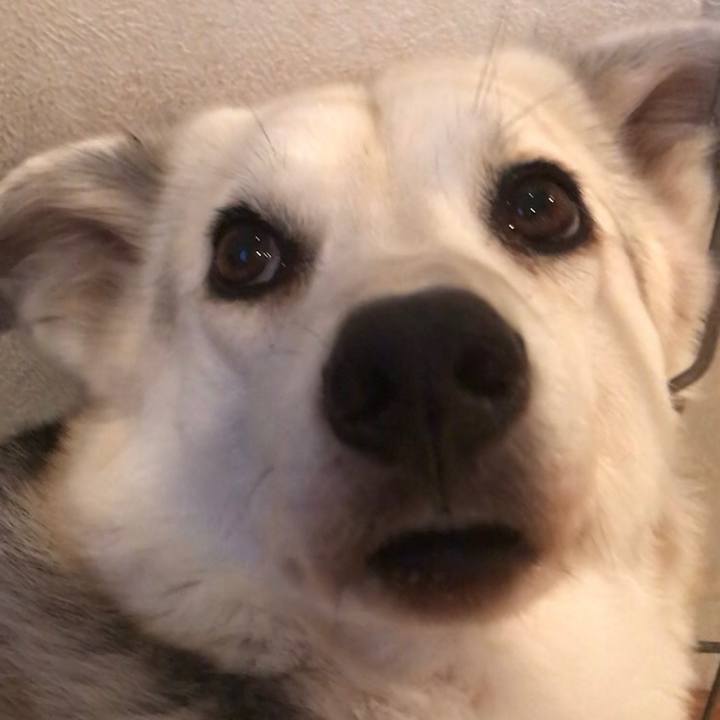 Fdb5c445 7184 417a b935 50f7466231d7 1586781388795