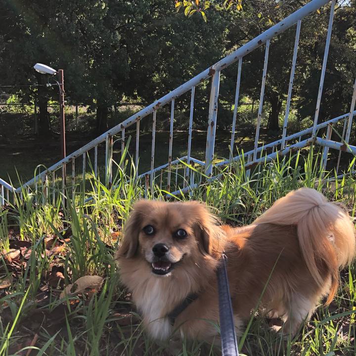 Fdb5d366 df1b 4fc7 bba4 d3e8116971fc 1570922312768