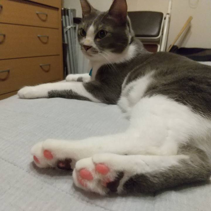 Fdb63935 5b05 4188 ac7f a923607e0f32 1638796351855