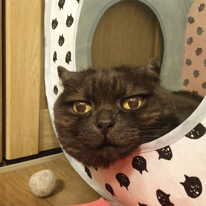 Fdb65681 1ba4 4a7e ad9d 29920e7e5507 1588598880454