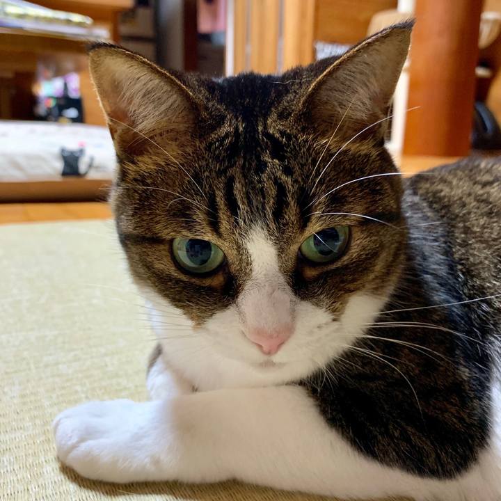 Fdb69996 0875 4f7e 86ca 7ec8737adea2 1566652972454