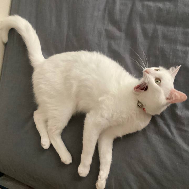 Fdb6a0e4 4d3b 46c5 90d4 ee58022f46e3 1747820564847