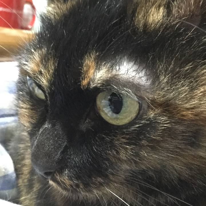 Fdb6b67e 7936 4437 bf93 341da32b8c2f 1546253961865