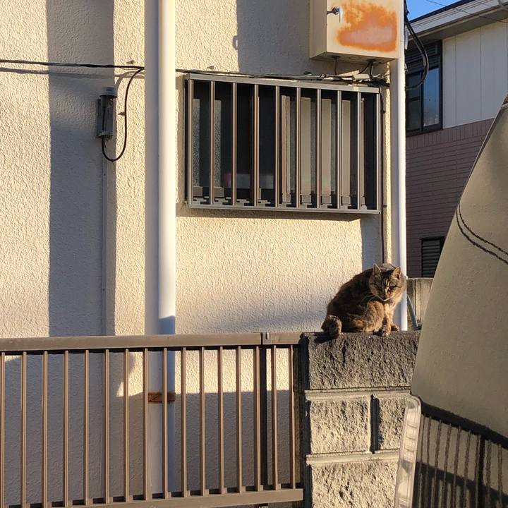 Fdb6c5ca da2b 439e bbbc 2b76ac22f0fc 1609362846494