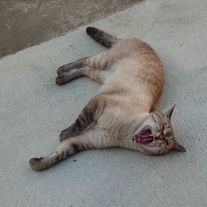 Fdb6d177 5710 4e2c 8dc2 9f868699b539 1659342820351