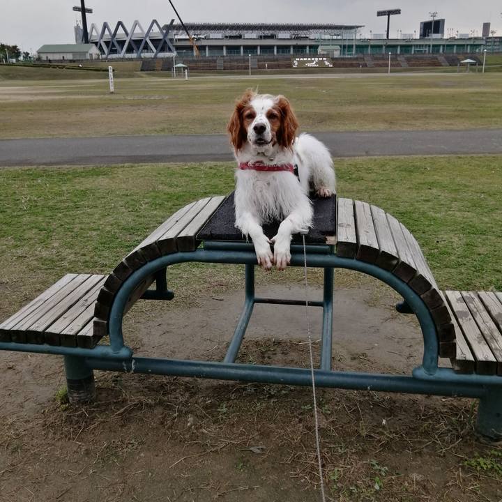 Fdb6f05c 9056 4ea7 a63a 851213f68764 1572336961673