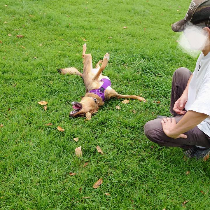 Fdb700b8 70ba 4e04 8b08 1e4f977dbf5a 1727592577917