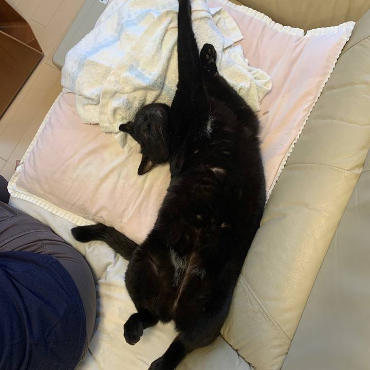 Fdb74baf 8054 4116 b932 787963f5aeb9 1599366450275